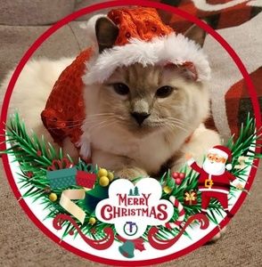 Meet your Posher, Miranda